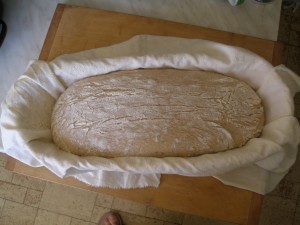 Vykynutý chléb před vložením do trouby
