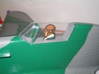 Pilot v kabině